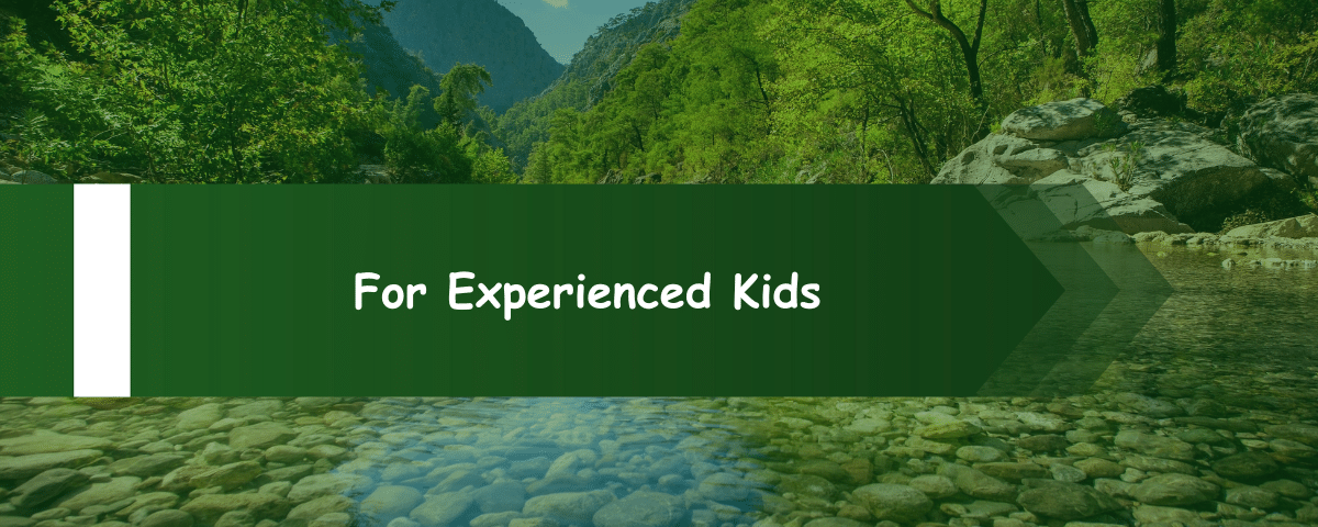 For Experienced Kids
